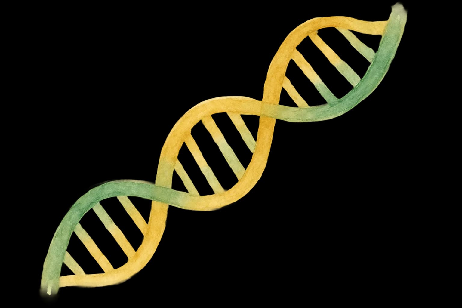 The Treatment Matcher